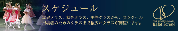 スケジュール